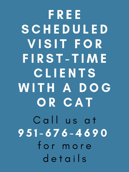 Free scheduled visit for first-time clients