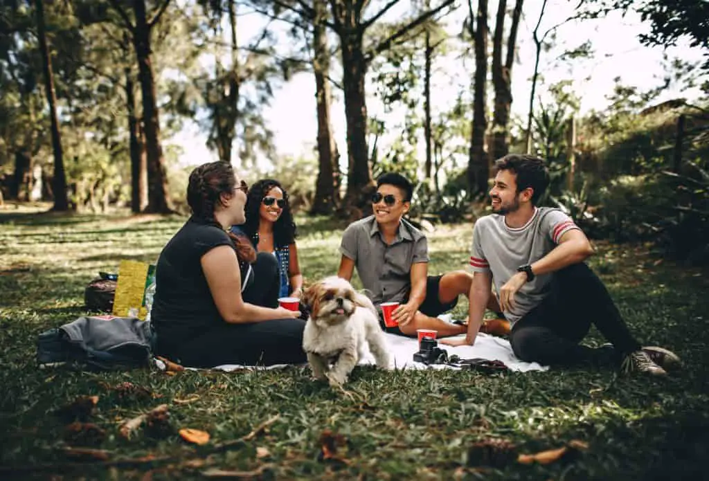 Group of people with a dog sitting on a white mat on a grass field