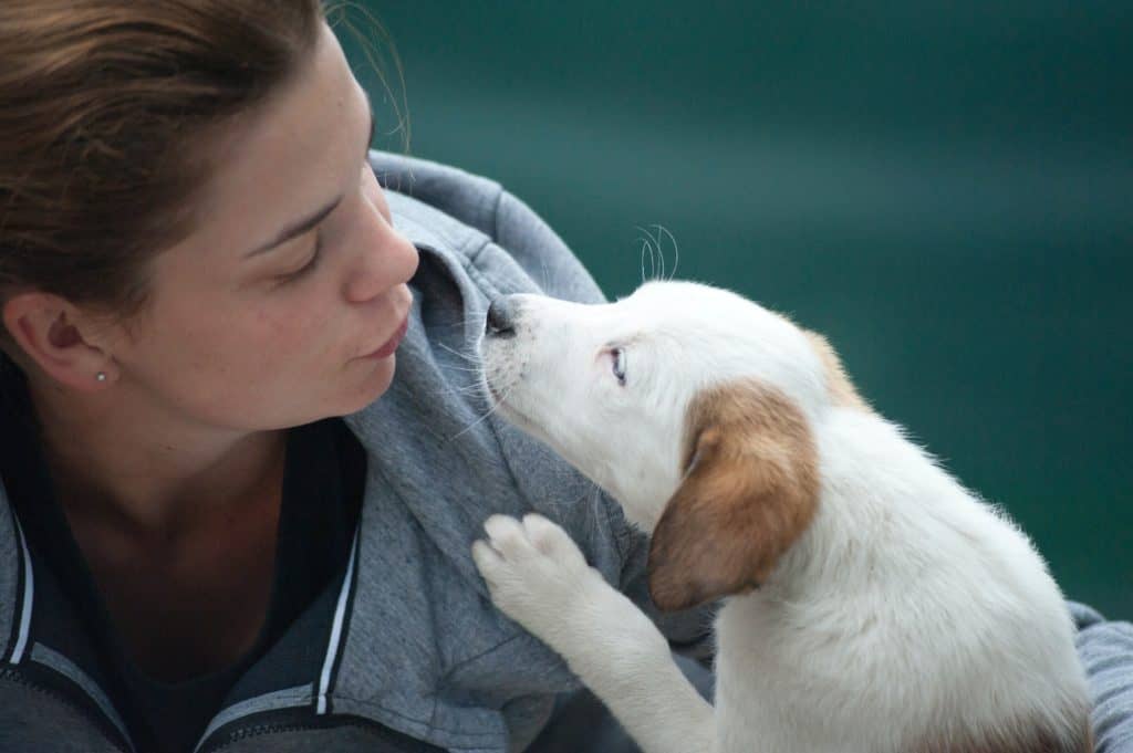Woman giving a kiss to her dog