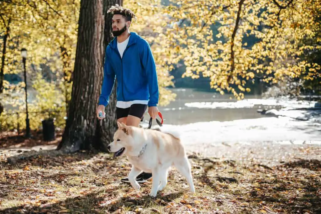 Man walking his dog in a park