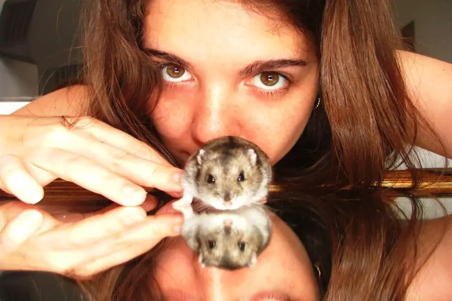 Woman checking if her hamster is starting to smell bad